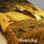 Кувертюра Фотопринт Лъв 220