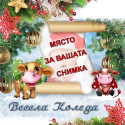 коледен 3d спален комплект с ваша снимка, 9402