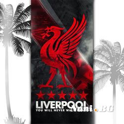 3D Плажни кърпи Sport - Liverpool five stars